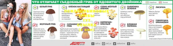 a pvp Лиски