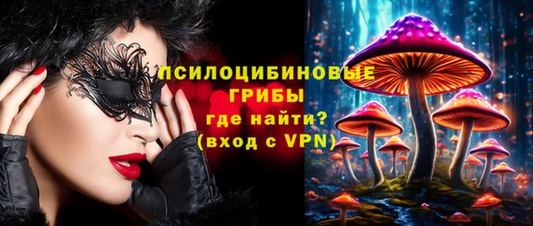 a pvp Лиски