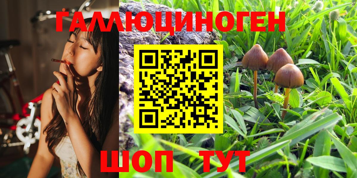 Учалы  дарнет шоп  Вход с VPN  Псилоцибиновые грибы Psilocybe 