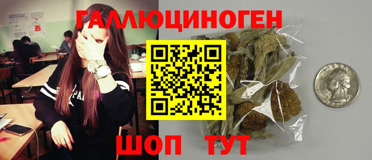 Псилоцибиновые грибы MAGIC MUSHROOMS  Учалы 